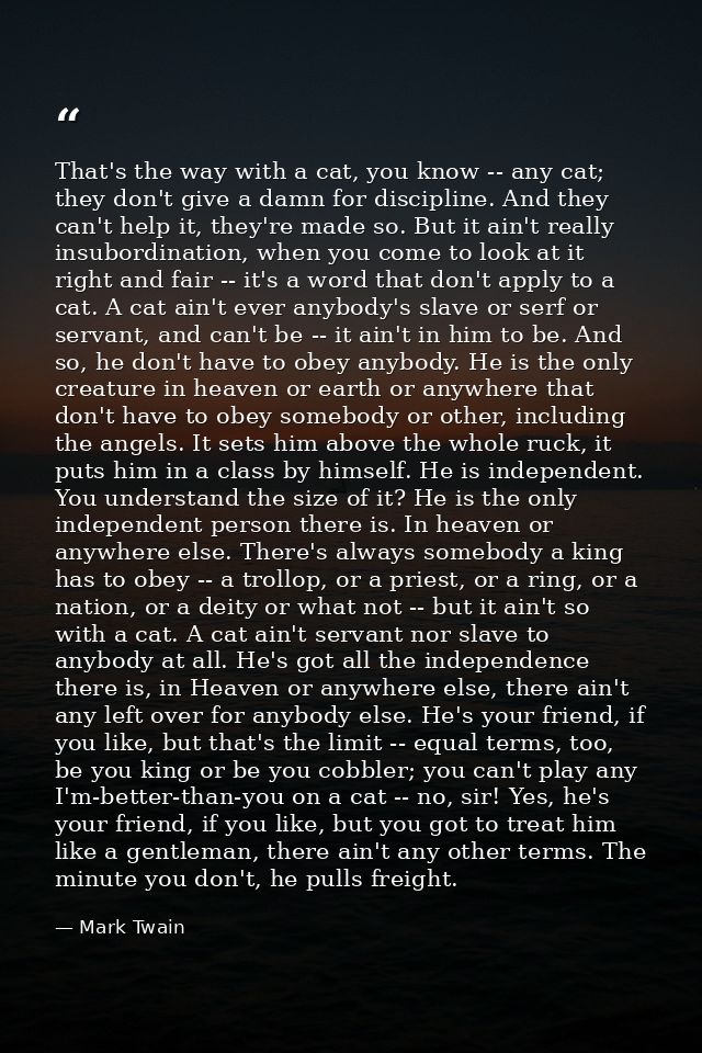 That's the way with a cat, you know -- any cat; they don't give a damn for discipline. And they can't help it, they're m — Mark Twain