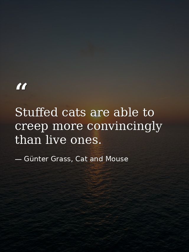 Stuffed cats are able to creep more convincingly than live ones. — Günter Grass, Cat and Mouse