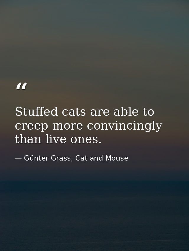 Stuffed cats are able to creep more convincingly than live ones. — Günter Grass, Cat and Mouse