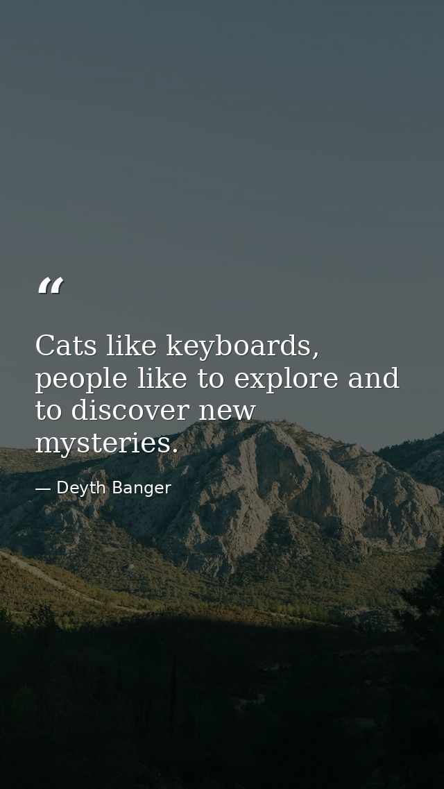 Cats like keyboards, people like to explore and to discover new mysteries. — Deyth Banger