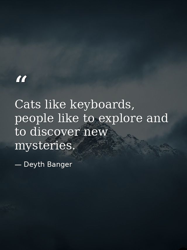 Cats like keyboards, people like to explore and to discover new mysteries. — Deyth Banger