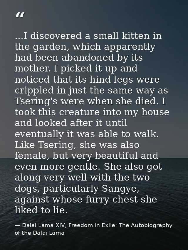 ...I discovered a small kitten in the garden, which apparently had been abandoned by its mother. I picked it up and noti — Dalai Lama XIV, Freedom in Exile: The Autobiography of the Dalai Lama