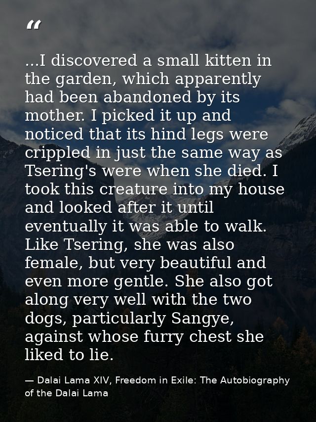 ...I discovered a small kitten in the garden, which apparently had been abandoned by its mother. I picked it up and noti — Dalai Lama XIV, Freedom in Exile: The Autobiography of the Dalai Lama