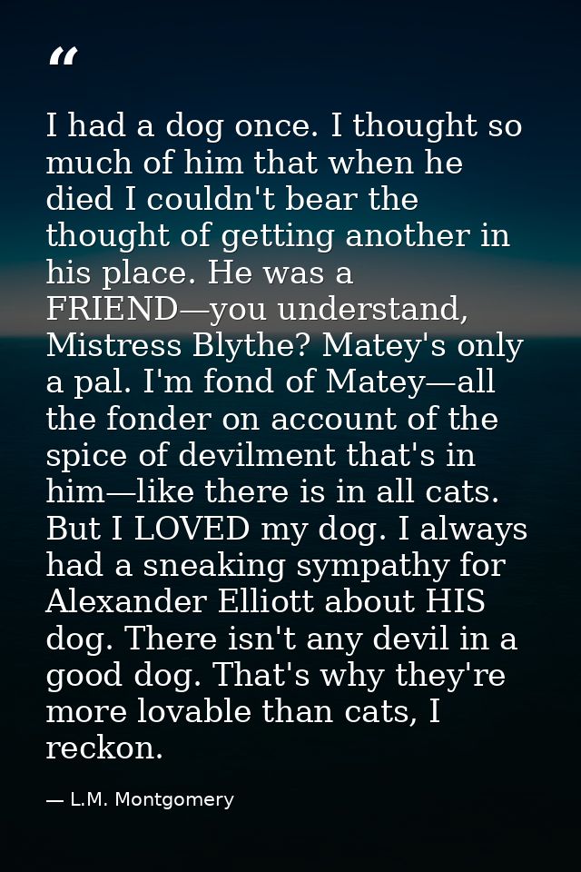 I had a dog once. I thought so much of him that when he died I couldn't bear the thought of getting another in his place — L.M. Montgomery