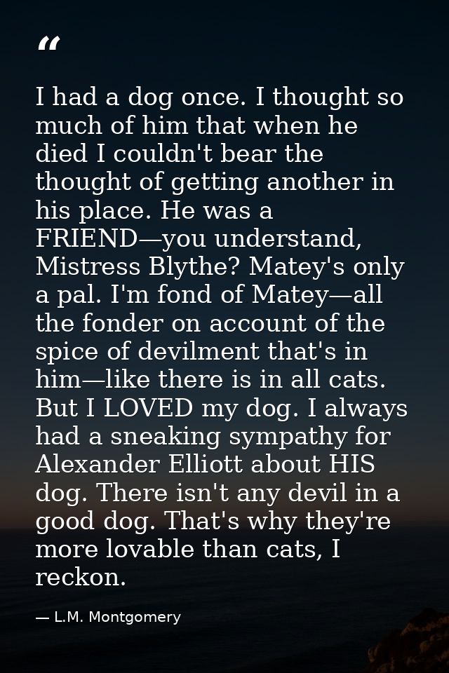 I had a dog once. I thought so much of him that when he died I couldn't bear the thought of getting another in his place — L.M. Montgomery