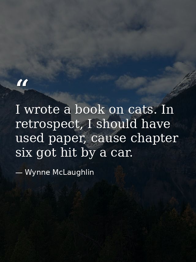 I wrote a book on cats. In retrospect, I should have used paper, cause chapter six got hit by a car. — Wynne McLaughlin