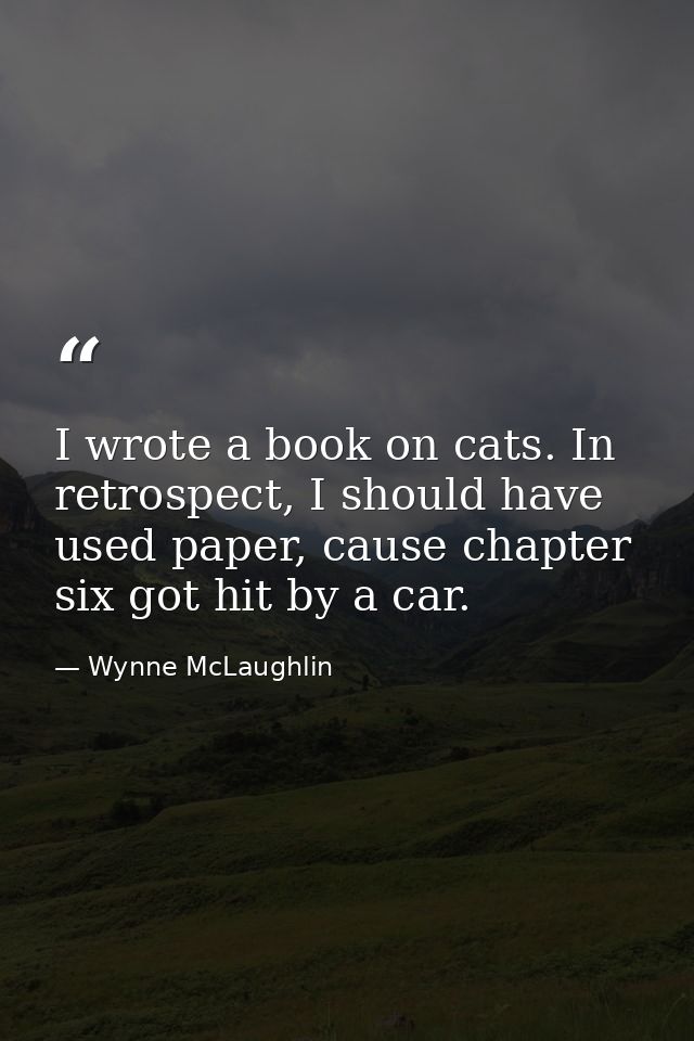 I wrote a book on cats. In retrospect, I should have used paper, cause chapter six got hit by a car. — Wynne McLaughlin