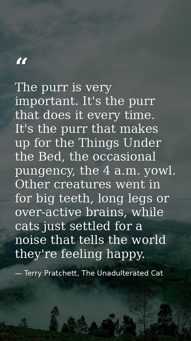 The purr is very important. It's the purr that does it every time. It's the purr that makes up for the Things Under the  — Terry Pratchett, The Unadulterated Cat