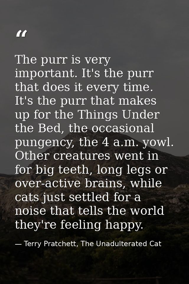 The purr is very important. It's the purr that does it every time. It's the purr that makes up for the Things Under the  — Terry Pratchett, The Unadulterated Cat