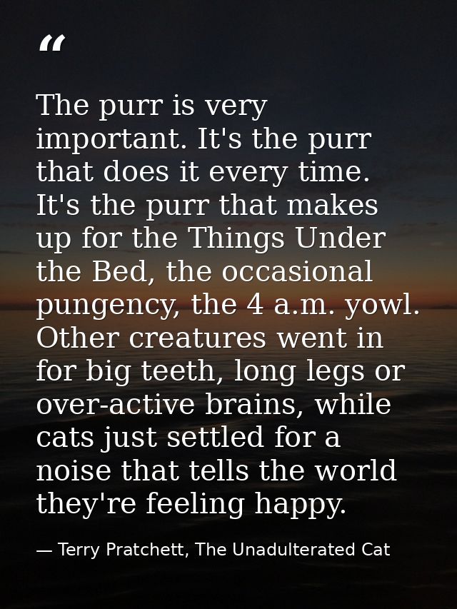 The purr is very important. It's the purr that does it every time. It's the purr that makes up for the Things Under the  — Terry Pratchett, The Unadulterated Cat
