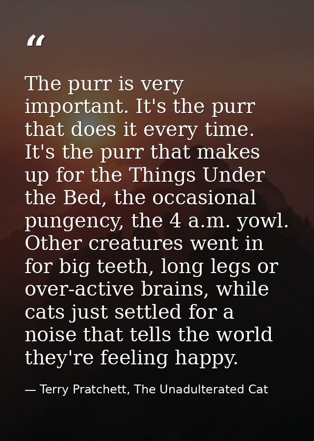 The purr is very important. It's the purr that does it every time. It's the purr that makes up for the Things Under the  — Terry Pratchett, The Unadulterated Cat