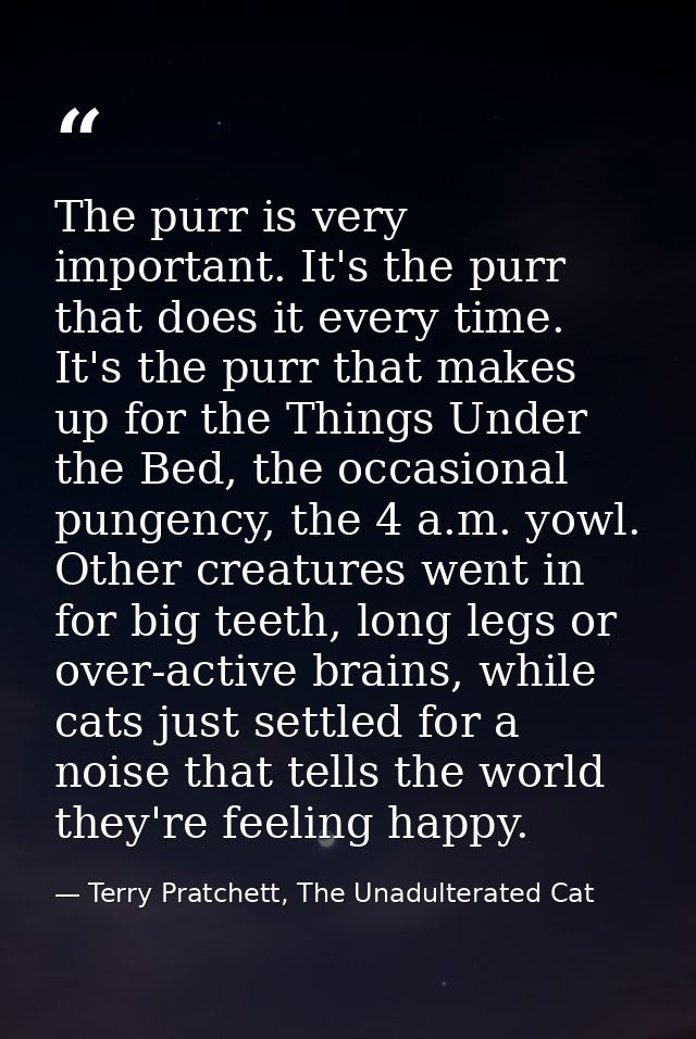 The purr is very important. It's the purr that does it every time. It's the purr that makes up for the Things Under the  — Terry Pratchett, The Unadulterated Cat