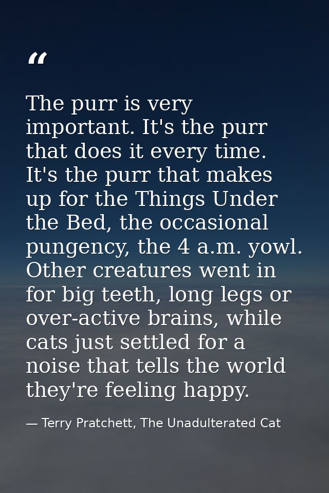 The purr is very important. It's the purr that does it every time. It's the purr that makes up for the Things Under the  — Terry Pratchett, The Unadulterated Cat