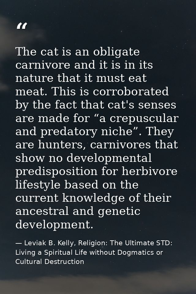 The cat is an obligate carnivore and it is in its nature that it must eat meat. This is corroborated by the fact that ca — Leviak B. Kelly, Religion: The Ultimate STD: Living a Spiritual Life without Dogmatics or Cultural Destruction
