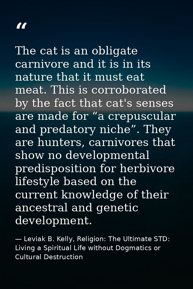 The cat is an obligate carnivore and it is in its nature that it must eat meat. This is corroborated by the fact that ca — Leviak B. Kelly, Religion: The Ultimate STD: Living a Spiritual Life without Dogmatics or Cultural Destruction