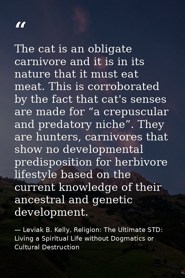 The cat is an obligate carnivore and it is in its nature that it must eat meat. This is corroborated by the fact that ca — Leviak B. Kelly, Religion: The Ultimate STD: Living a Spiritual Life without Dogmatics or Cultural Destruction