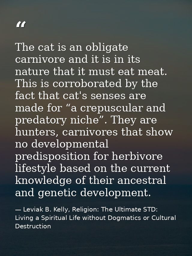 The cat is an obligate carnivore and it is in its nature that it must eat meat. This is corroborated by the fact that ca — Leviak B. Kelly, Religion: The Ultimate STD: Living a Spiritual Life without Dogmatics or Cultural Destruction