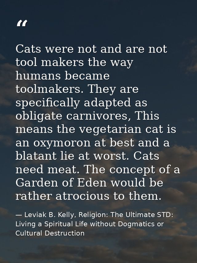 Cats were not and are not tool makers the way humans became toolmakers. They are specifically adapted as obligate carniv — Leviak B. Kelly, Religion: The Ultimate STD: Living a Spiritual Life without Dogmatics or Cultural Destruction