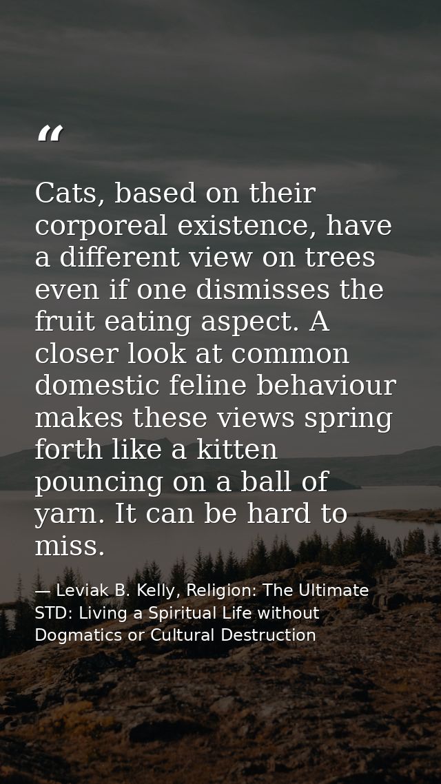 Cats, based on their corporeal existence, have a different view on trees even if one dismisses the fruit eating aspect.  — Leviak B. Kelly, Religion: The Ultimate STD: Living a Spiritual Life without Dogmatics or Cultural Destruction