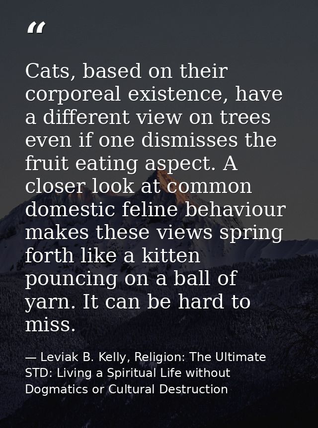 Cats, based on their corporeal existence, have a different view on trees even if one dismisses the fruit eating aspect.  — Leviak B. Kelly, Religion: The Ultimate STD: Living a Spiritual Life without Dogmatics or Cultural Destruction