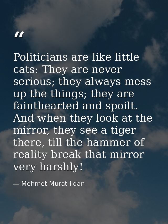 Politicians are like little cats: They are never serious; they always mess up the things; they are fainthearted and spoi — Mehmet Murat ildan