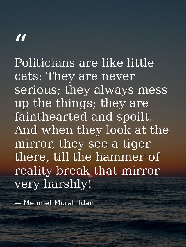 Politicians are like little cats: They are never serious; they always mess up the things; they are fainthearted and spoi — Mehmet Murat ildan