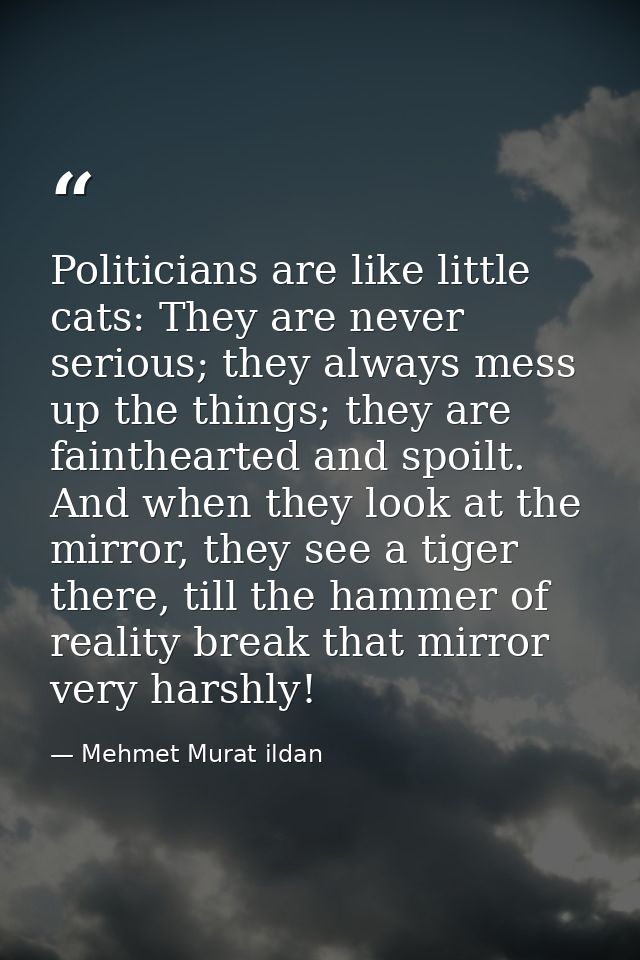 Politicians are like little cats: They are never serious; they always mess up the things; they are fainthearted and spoi — Mehmet Murat ildan