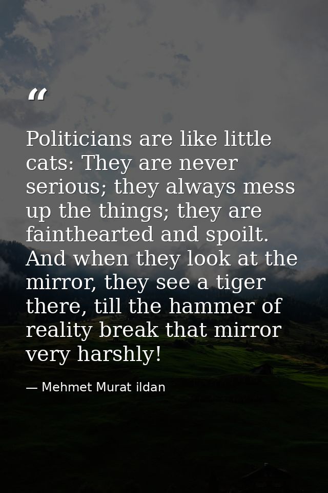 Politicians are like little cats: They are never serious; they always mess up the things; they are fainthearted and spoi — Mehmet Murat ildan