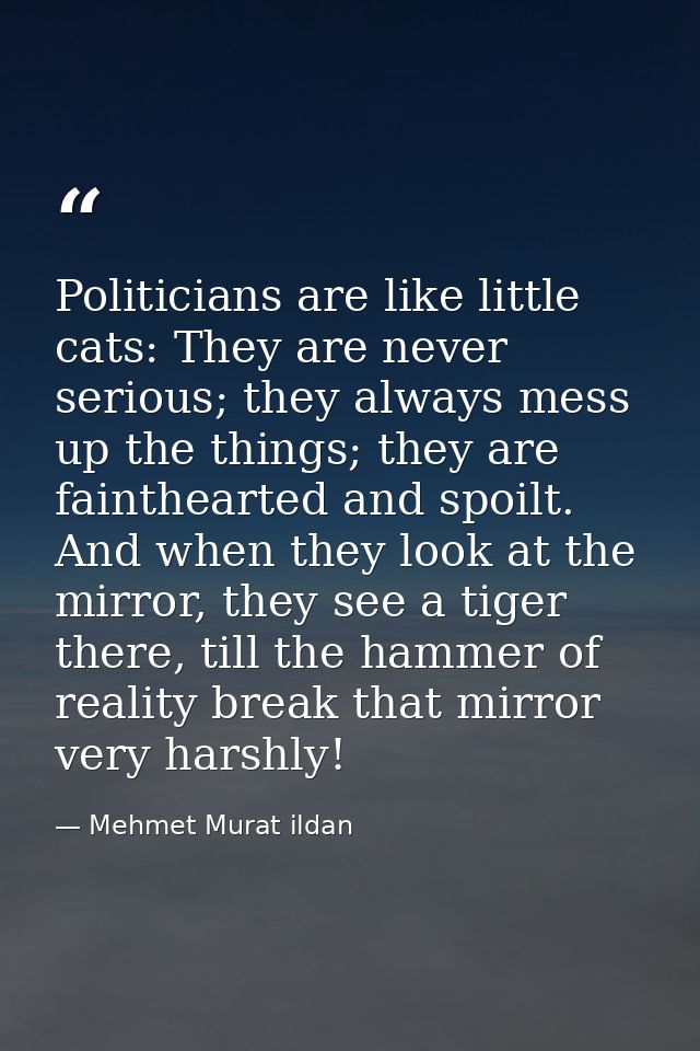 Politicians are like little cats: They are never serious; they always mess up the things; they are fainthearted and spoi — Mehmet Murat ildan