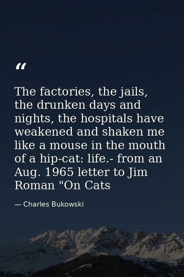 The factories, the jails, the drunken days and nights, the hospitals have weakened and shaken me like a mouse in the mou — Charles Bukowski