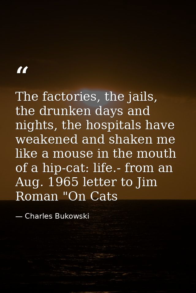 The factories, the jails, the drunken days and nights, the hospitals have weakened and shaken me like a mouse in the mou — Charles Bukowski