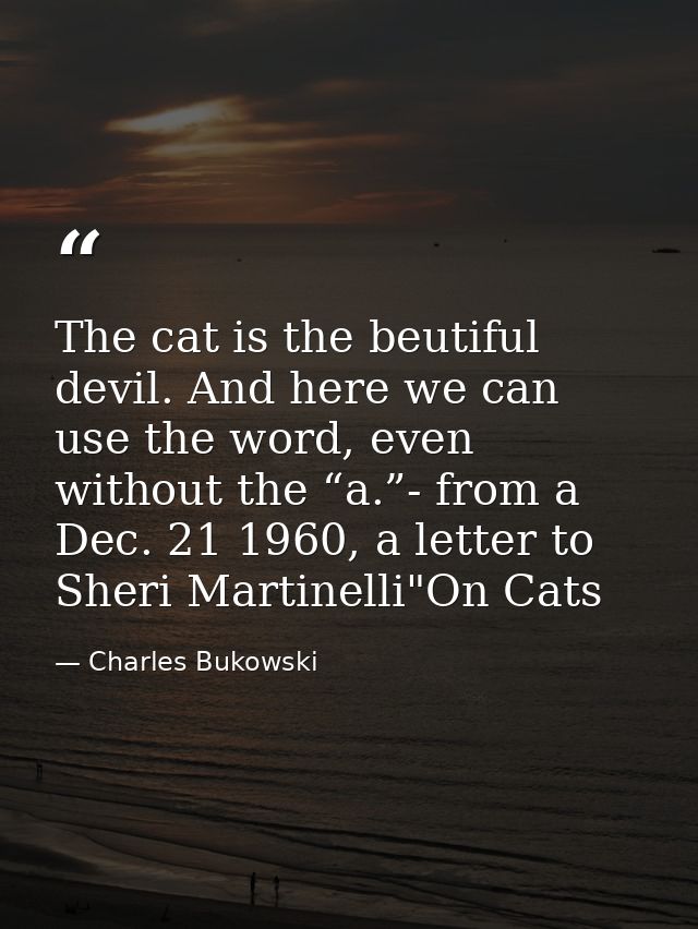 The cat is the beutiful devil. And here we can use the word, even without the “a.”- from a Dec. 21 1960, a letter to She — Charles Bukowski