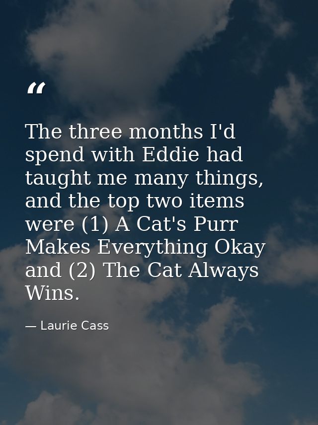 The three months I'd spend with Eddie had taught me many things, and the top two items were (1) A Cat's Purr Makes Every — Laurie Cass