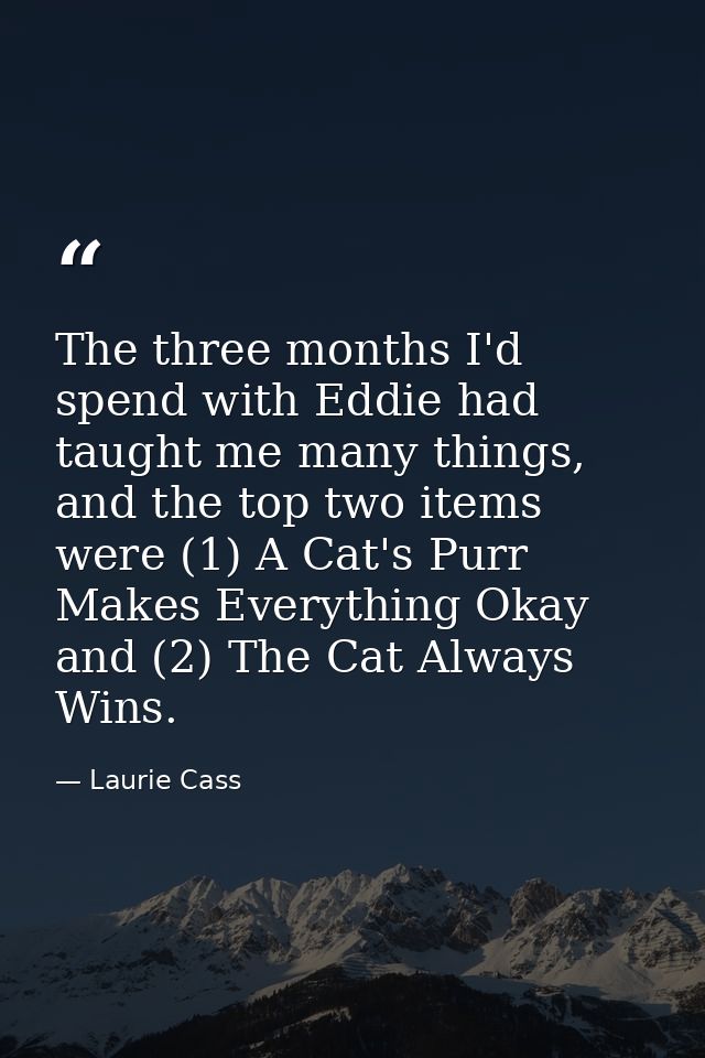 The three months I'd spend with Eddie had taught me many things, and the top two items were (1) A Cat's Purr Makes Every — Laurie Cass