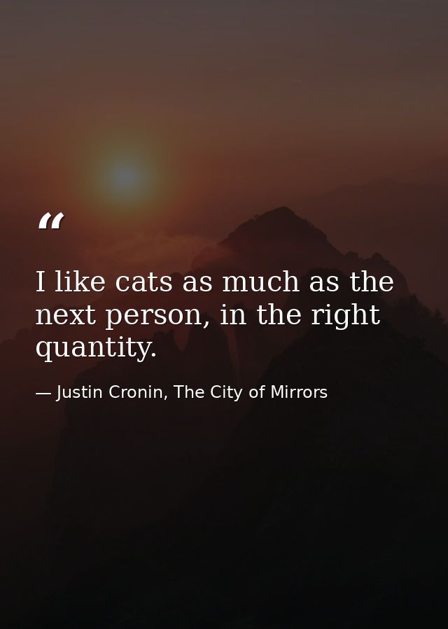 I like cats as much as the next person, in the right quantity. — Justin Cronin, The City of Mirrors