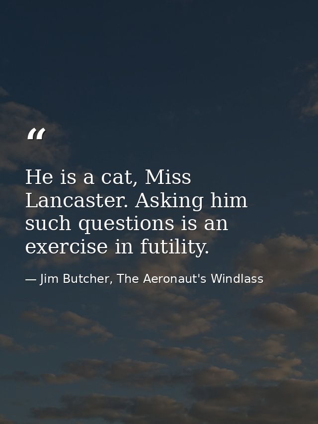 He is a cat, Miss Lancaster. Asking him such questions is an exercise in futility. — Jim Butcher, The Aeronaut's Windlass