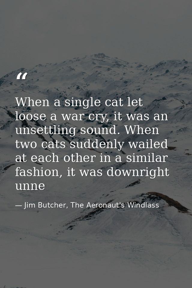 When a single cat let loose a war cry, it was an unsettling sound. When two cats suddenly wailed at each other in a simi — Jim Butcher, The Aeronaut's Windlass