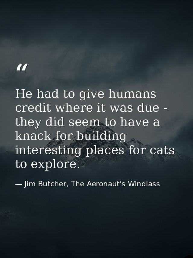 He had to give humans credit where it was due - they did seem to have a knack for building interesting places for cats t — Jim Butcher, The Aeronaut's Windlass