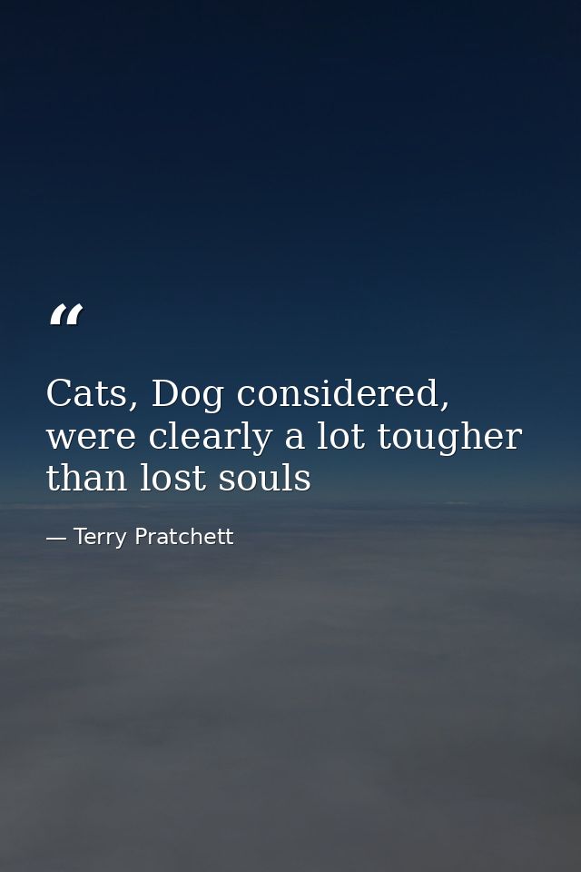 Cats, Dog considered, were clearly a lot tougher than lost souls — Terry Pratchett