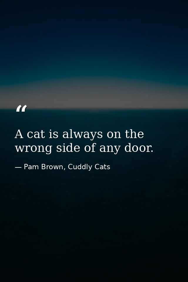 A cat is always on the wrong side of any door. — Pam Brown, Cuddly Cats