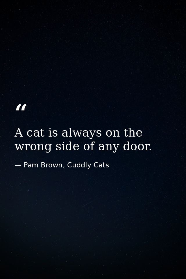 A cat is always on the wrong side of any door. — Pam Brown, Cuddly Cats