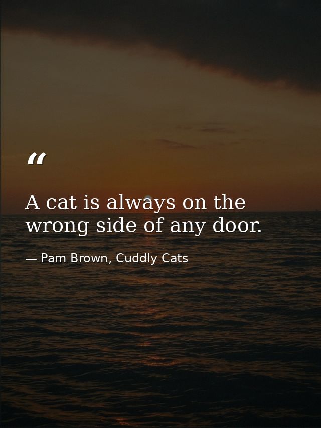 A cat is always on the wrong side of any door. — Pam Brown, Cuddly Cats