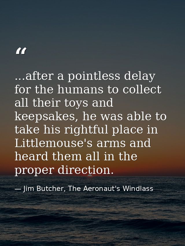 ...after a pointless delay for the humans to collect all their toys and keepsakes, he was able to take his rightful plac — Jim Butcher, The Aeronaut's Windlass