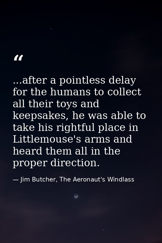 ...after a pointless delay for the humans to collect all their toys and keepsakes, he was able to take his rightful plac — Jim Butcher, The Aeronaut's Windlass