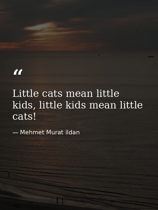 Little cats mean little kids, little kids mean little cats! — Mehmet Murat ildan