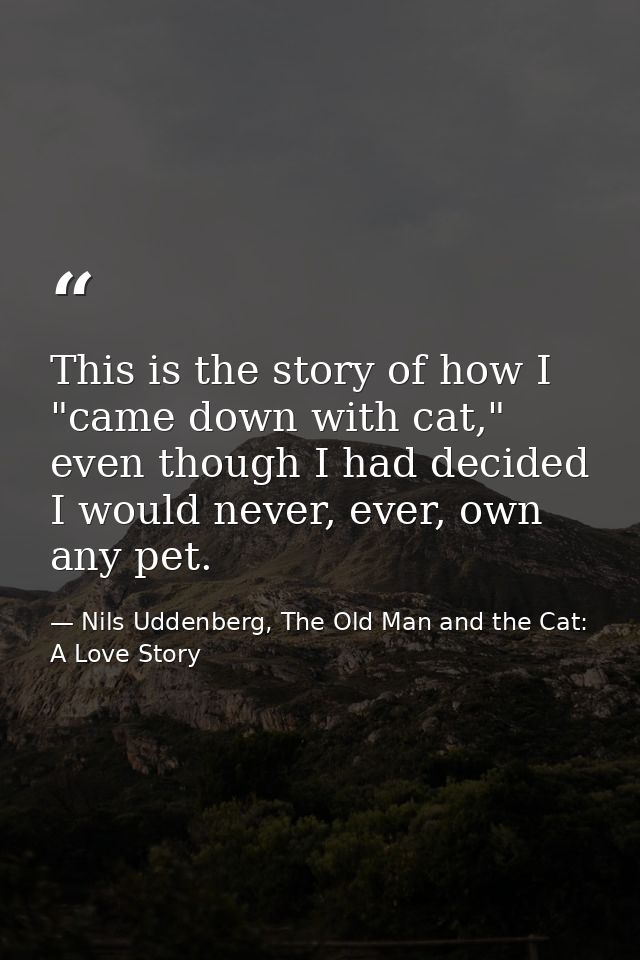 This is the story of how I "came down with cat," even though I had decided I would never, ever, own any pet. — Nils Uddenberg, The Old Man and the Cat: A Love Story