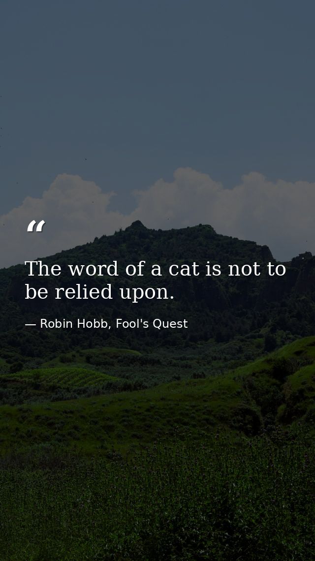 The word of a cat is not to be relied upon. — Robin Hobb, Fool's Quest