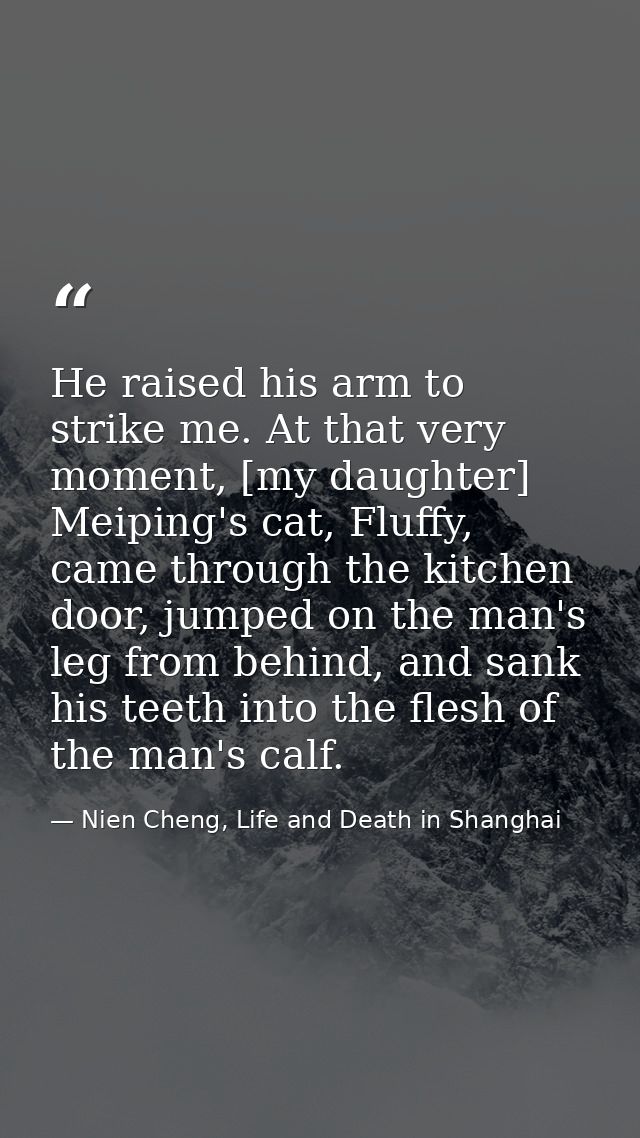 He raised his arm to strike me. At that very moment, [my daughter] Meiping's cat, Fluffy, came through the kitchen door, — Nien Cheng, Life and Death in Shanghai