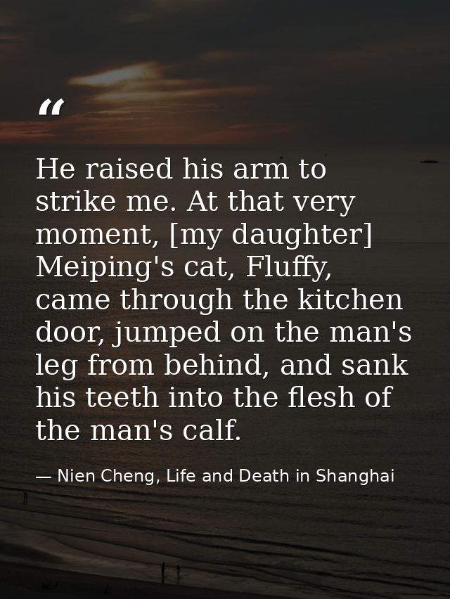 He raised his arm to strike me. At that very moment, [my daughter] Meiping's cat, Fluffy, came through the kitchen door, — Nien Cheng, Life and Death in Shanghai