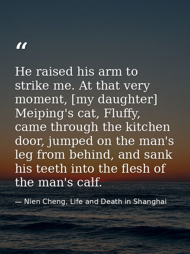 He raised his arm to strike me. At that very moment, [my daughter] Meiping's cat, Fluffy, came through the kitchen door, — Nien Cheng, Life and Death in Shanghai